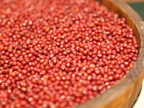 定西特产有哪些，能体现当地风水的特色美食？