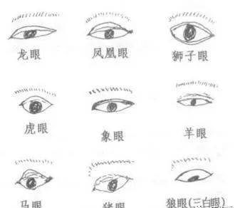 如何称呼眼神凶狠、面相凶狠的导师？