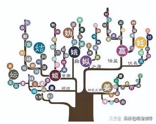 现代化企业在实际应用中的风水应用案例
