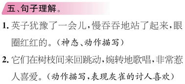 五、 性别维度：男女均可适用的命名策略