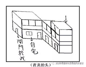 补缺法与空间重构：利用家具与绿植填补气场