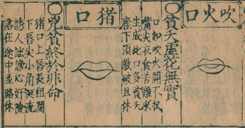 与反思