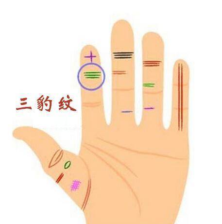 五、 财富有线（元宝纹）及其在事业线中的表现形式
