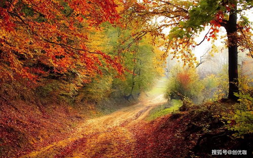 2019年属什么生肖？山中居住从秋到冬经历了哪个生肖？