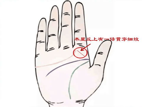 木星丘概述及其在手相学中的地位