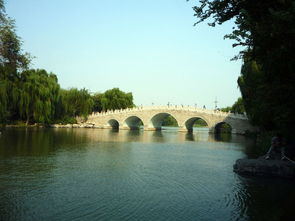 蚌埠博物馆:涨知识还是睡大觉?