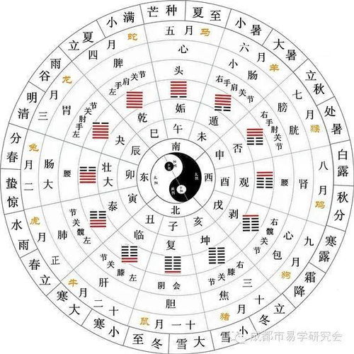 坤卦兑卦：温柔乡里的故事