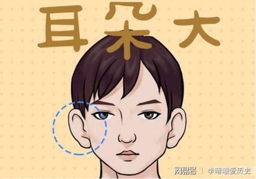 三、 财富有特征及其形成机制
