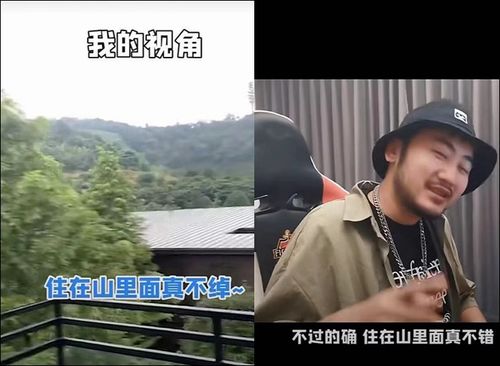 二、 案例分析：不同风格的命名策略