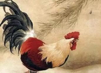 属蛇女性12月份的婚姻运势具体表现如何？