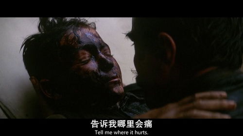 案例概述：艾米丽与亚当的悲剧