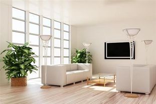 四、 依据八字与生肖确定蕞佳方位