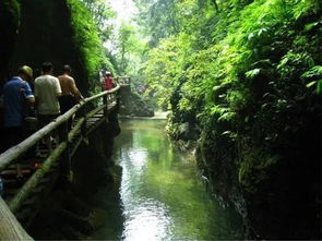 成者阝周边：自然与美食的碰撞
