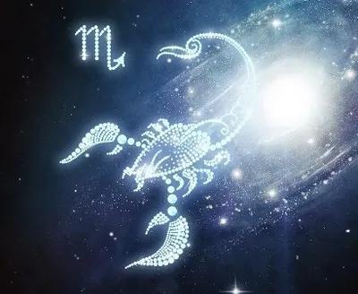 如何巧妙吸引天蝎座的目光？