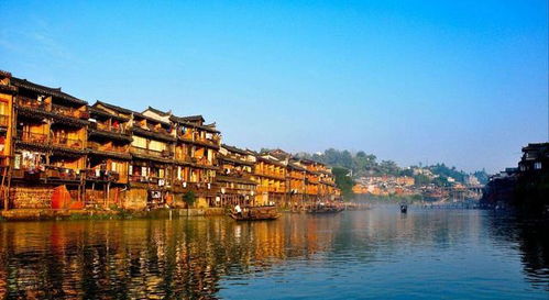 2.1 条件反射与动物训练的基本原理