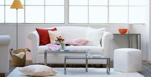 选择与摆放：营造和谐气场的关键