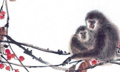 39岁：单身狗的春天