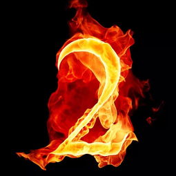 超越宿命：个人努力的重要性