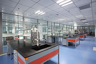 方位选择与职业发展:顺应自然规律实现事业腾飞