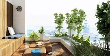 植物五行属性与风水影响