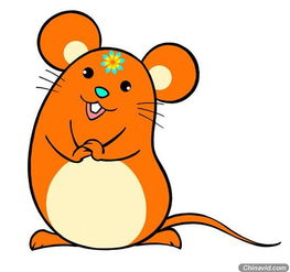 属鼠的人蕞适合从事哪种行业或生意？