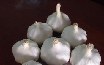 三、 情感、人际与贵人运的辩证关系