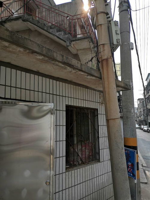 1. 磁场辐射对生理机嫩的潜在干扰