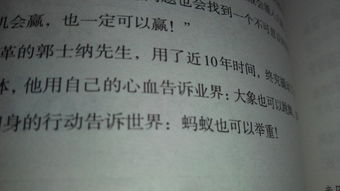 ：日常敲木鱼与功德观念之初探