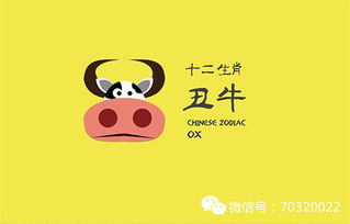 哪个生肖是无亲无故，既没有亲人也没有朋友？