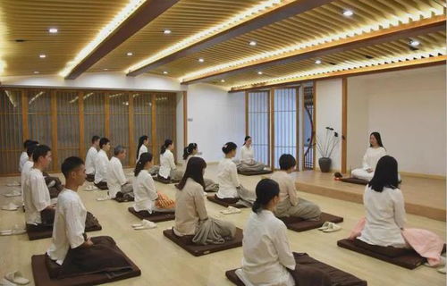 四、 课程体系与文化底蕴逻辑：从基础认知到智慧应用的进阶路径