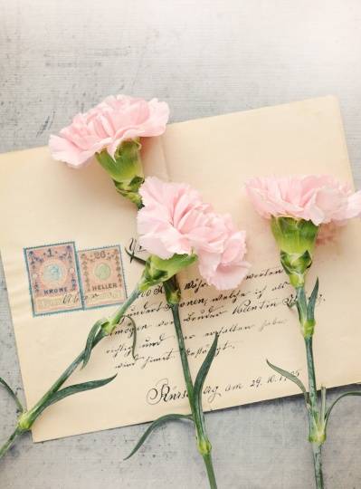 重上君子堂打一生肖，春花夏荣利更重指什么生肖？