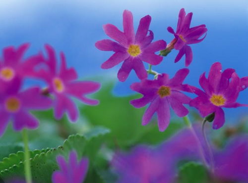 情感运势的现实启示