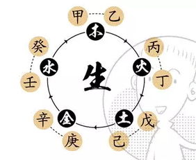 丙壬天干和戊丙壬丁分别代表什么含义？