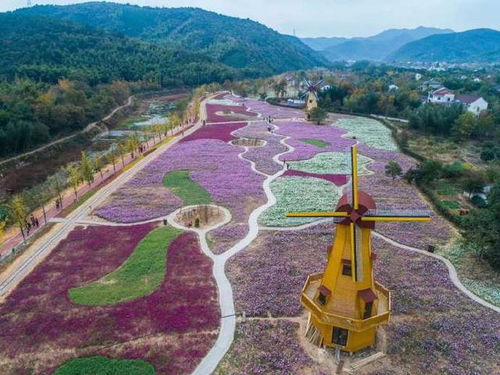 贵州花海品骏旅游专线：一场“乱炖”式的荒唐旅行