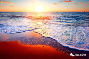 震惊！2026年海天沙滩要倒闭？现在不去就晚了！