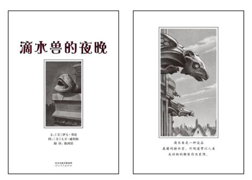 夜幕降临，绘本里的故事怎么会突然活过来呢？——一部关于生肖星座与风水国学融合的原创深度报告