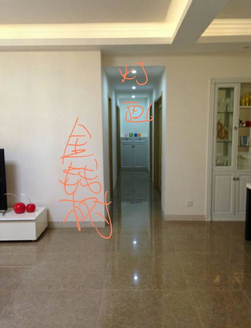 五、 选购及摆放原则——从八字五行到整体协调