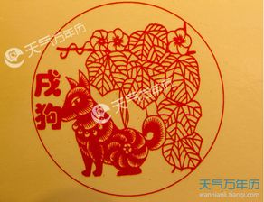 生肖取名：一场毫无科学依据的文字游戏