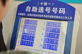 一、“生肖”视角下之选号原则及其现实案例分析