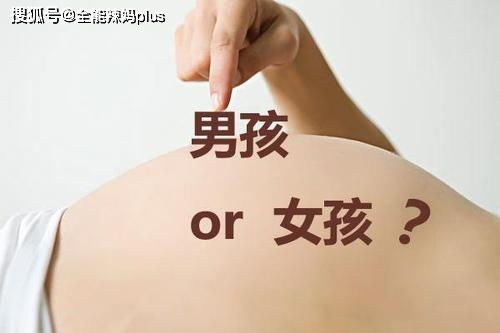 环境温度对胎儿性别倾向的潜在调节机制