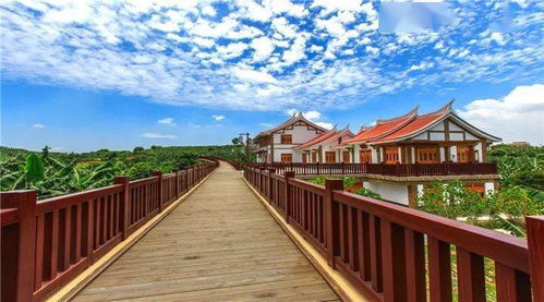 镜头下的漳浦：滤镜也救不了的粗糙感