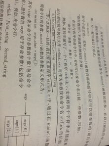 以癸未年为例的具体剖析