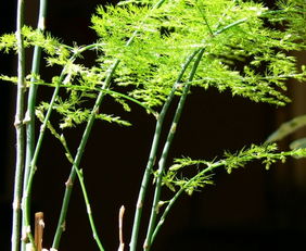 位置选择的基本原则