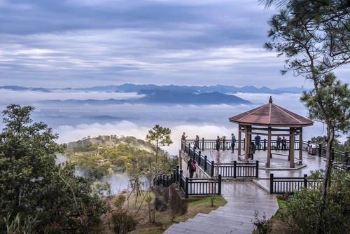 二、上山路上的“灵魂拷问”：我是谁？我在哪？