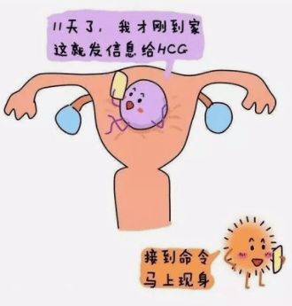 常见原因剖析