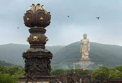 购票方式：别被官方套路忽悠
