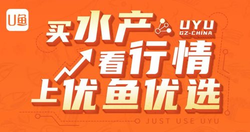 针对不同行业优选日期建议