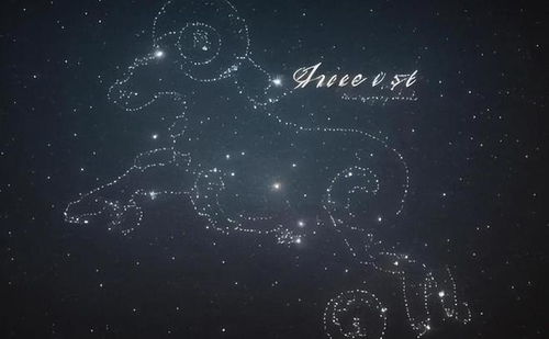 二、 星座特性在昵称创意中的系统整合