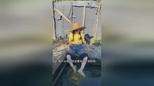 二、 颜色变异（蓝色）在十二生肖及星座象征体系中的对应解析
