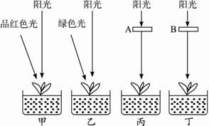 时间窗口及个体差异